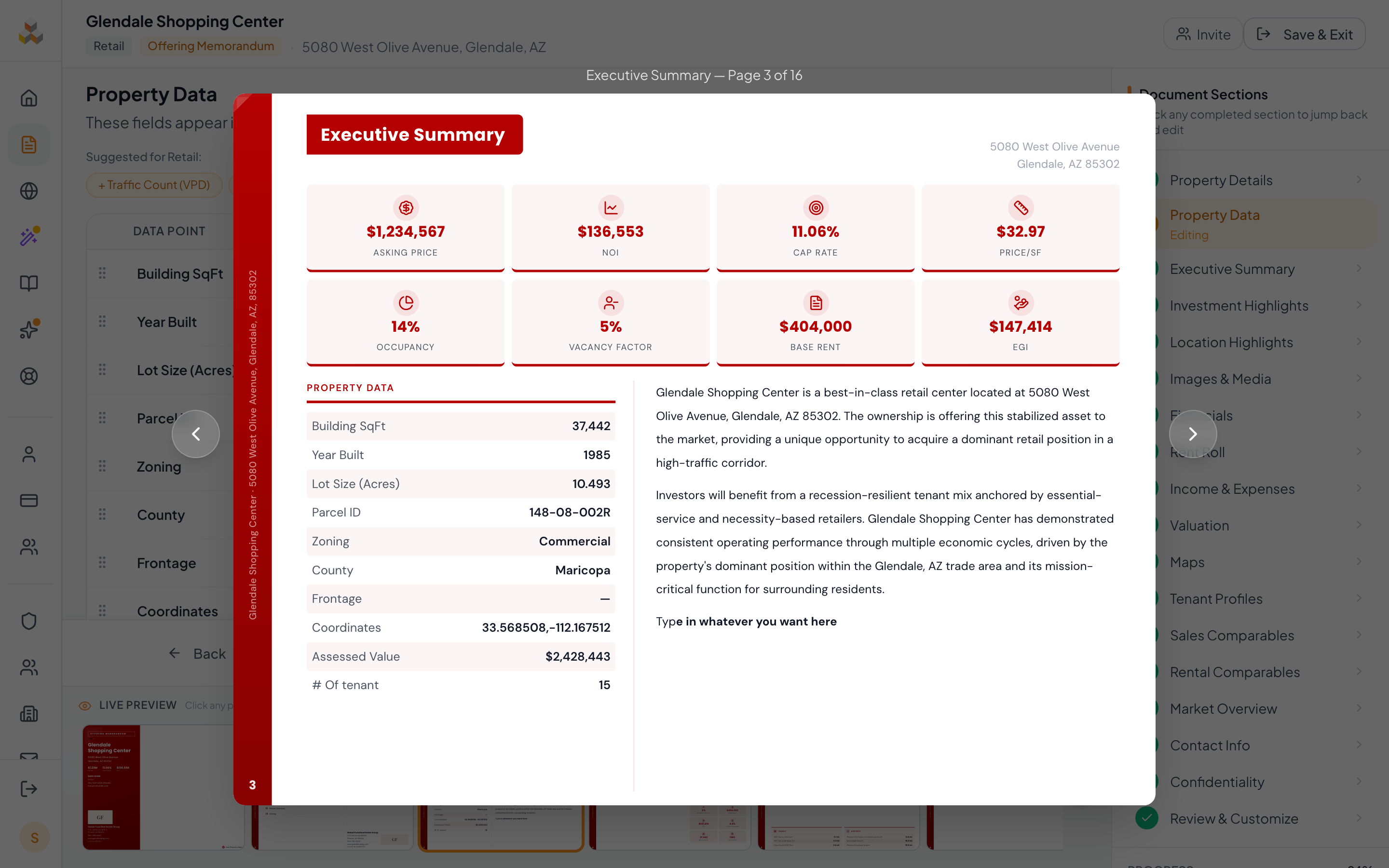 Executive Summary content editor with AI Suggestions panel on the left and rich text editor on the right